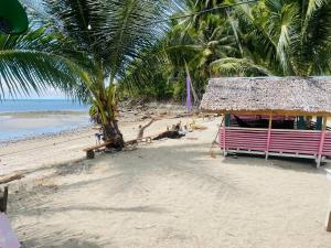 桑托斯将军城Northern Prince Beach Resort的海滩上的小屋,棕榈树和大海