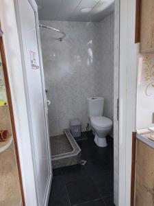 博尔若米Guesthouse Saba的带淋浴和卫生间的浴室