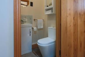 米尔顿凯恩斯Cosy countryside retreat - Pogo的一间带卫生间和水槽的小浴室