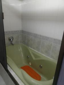 波托西HOTEL SAMARICUSUN的内置有胡萝卜的绿色浴缸