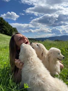 菲耶Salmsein Biohof的一位妇女躺在田里,养着三只狗