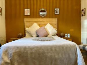 蒙得维的亚Expreso trescrucesdos的一间卧室配有一张带枕头的大床
