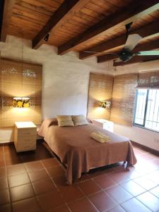 耶尔瓦布埃纳Casa BAUM的一间卧室配有一张床和吊扇