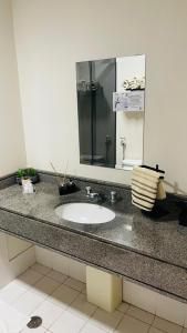 圣保罗Flat de Luxo Aeroporto Congonhas - Hotel eSuites的浴室的柜台设有水槽和镜子