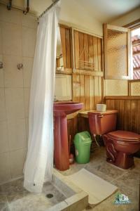 库斯科WARM AND CENTRAL HOUSE WITH SPECTACULAR VIEW OF CUSCO的一间带水槽和卫生间的浴室