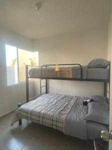 GallineroCasa Regina的一间卧室设有两张双层床和一扇窗户。