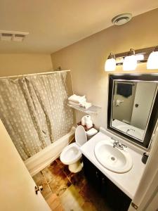 Lower SackvilleBasement unit with 2 bedrooms, bath and living area的一间带水槽、卫生间和镜子的浴室