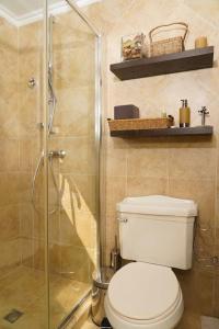 棕榈滩Spectacular house in gold coast的一间带卫生间和玻璃淋浴间的浴室