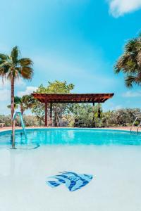 棕榈滩The elegance of Tierra del Sol with private pool的一座拥有蓝色海水和棕榈树的游泳池