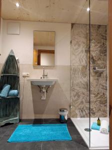 布伦纳山口格里斯伯格霍夫豪斯酒店的一间带水槽和淋浴的浴室