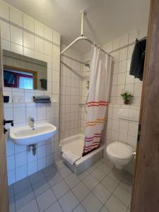 Konnersreuth维西斯罗斯酒店的一间带水槽、卫生间和淋浴的浴室
