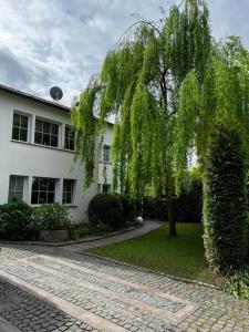 梅尔布施Exklusives Refugium- Privat-Boardinghouse Meerbusch - Ihre Oase nahe der Messe Düsseldorf的白色建筑前的树