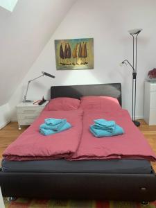 明斯特Dachwohnung Nähe Clemenshospital的一间卧室配有一张床,上面有两条毛巾
