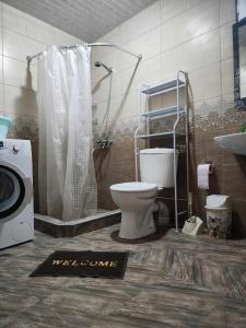 巴统53 jincharadze street的一间带卫生间、淋浴和洗衣机的浴室