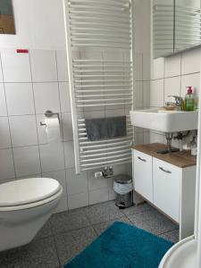 瓦尔茨胡特田根Homestay的一间带卫生间和水槽的浴室