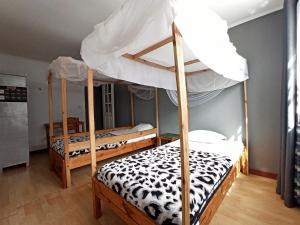塔那那利佛Chez Jeanne Chambre d'Hôte的一间卧室配有两张双层床。