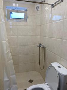泰拉维GuestHouse LILIA &Wine Celler的带淋浴、卫生间和窗户的浴室