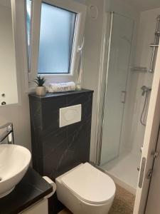 比奥格勒·纳·莫鲁mobile home MIRNA的浴室配有卫生间、盥洗盆和淋浴。