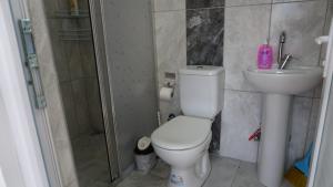 YeşilovaSalda Karanfil Pansiyon的浴室配有卫生间、盥洗盆和淋浴。