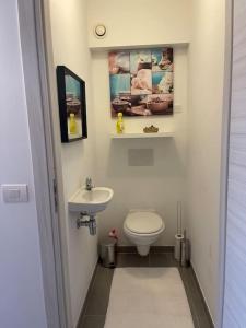 蒂尔特Appartamento ideal的一间带卫生间和水槽的小浴室