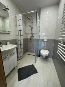 维斯瓦Domek na Skarpie的带淋浴、卫生间和盥洗盆的浴室
