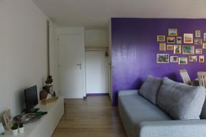 普罗旺斯艾克斯Studio charmant au calme的带沙发和紫色墙壁的客厅