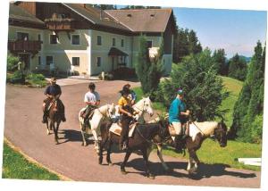 Schönau im Mühlkreis费瑞恩霍夫克瑞埃鲍莫尔乡村民宿的一群骑马的人