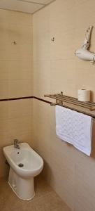 马拉加Romántico apartamento céntrico的浴室配有盥洗盆、卫生间和毛巾。