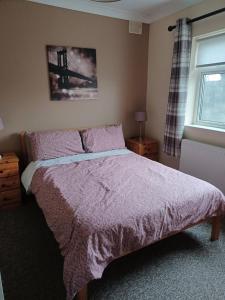戈尔韦Cloonboo Lodge on Wild Atlantic Way Sleeps 12的一间卧室配有一张带紫色毯子的床和窗户。
