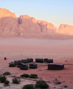 瓦迪拉姆Bedouin Nights Camp的停在沙漠中的一群公共汽车