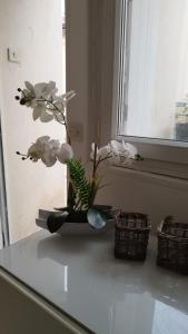 ForgesLe Bangor Coon的窗边的柜台上装有白色花朵的花瓶