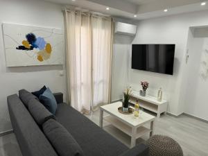 爱琴娜岛Central Suites Aegina 4的客厅配有灰色的沙发和电视