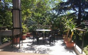 瓦尔纳Hostel Varna Botanika的庭院配有桌椅和植物