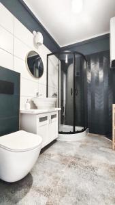 哈日科维APARTAMENTY Charzykowy的浴室配有卫生间、盥洗盆和淋浴。
