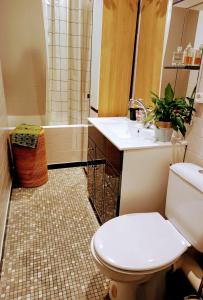 巴黎Super appartment at Paris的浴室配有卫生间、盥洗盆和淋浴。