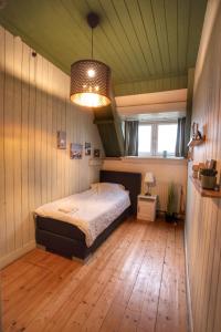 WolphaartsdijkHuize Adriana的一间卧室配有一张床和一个吊灯