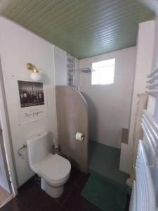 Rouvres-la-ChétiveLe temps retrouvé的一间带卫生间和淋浴的小浴室