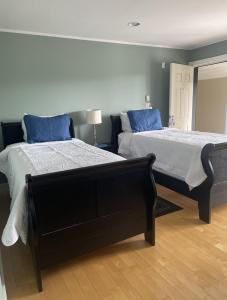 尤克卢利特Pacific Rim Guest Lodge - Adults Only的一间卧室配有两张带蓝色枕头的床