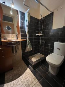 DhráfiReunion in Greece Villa的浴室配有卫生间、淋浴和盥洗盆。