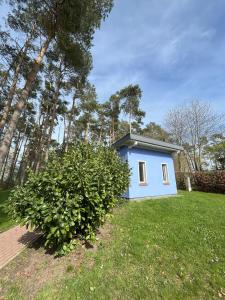 StahlbrodeKüstenferienhaus的一座带灌木的院子中的蓝色小房子