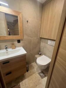 昂蒂布MORINGA - New unit for 2 AC close to beach的一间带卫生间、水槽和镜子的浴室