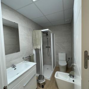 先波苏埃洛斯Apartamentos Jardines的一间带水槽、淋浴和卫生间的浴室