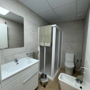 先波苏埃洛斯Apartamentos Jardines的一间带水槽、卫生间和镜子的浴室