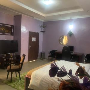 阿布贾Health Plaza Abuja的一间卧室配有一张床、一张书桌和一台电视