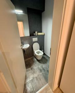布拉索夫VLD apartment的一间带卫生间和水槽的浴室