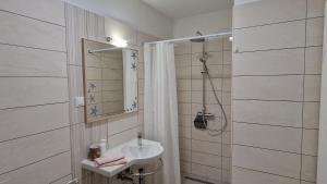 扎通Vitis Apartments的一间带水槽和淋浴的浴室