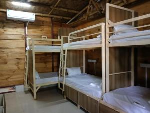 Jeet Hostel & Rooms客房内的一张或多张双层床