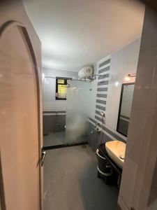 浦那Luxurious 2Bhk Fully Furnished apartment的一间带水槽和卫生间的浴室