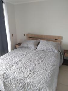 伊基克Azul 1的卧室配有带白色棉被的床