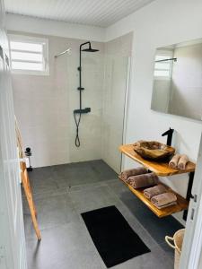 DucosVilla Mahé, Majestueuse villa avec piscine, F4 à Ducos的带淋浴、盥洗盆和镜子的浴室